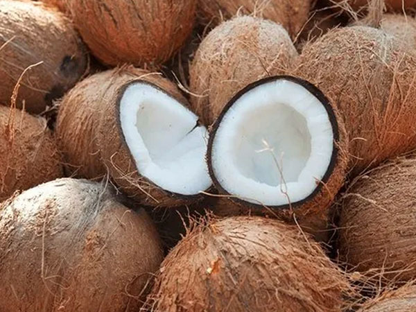 coconut-product
